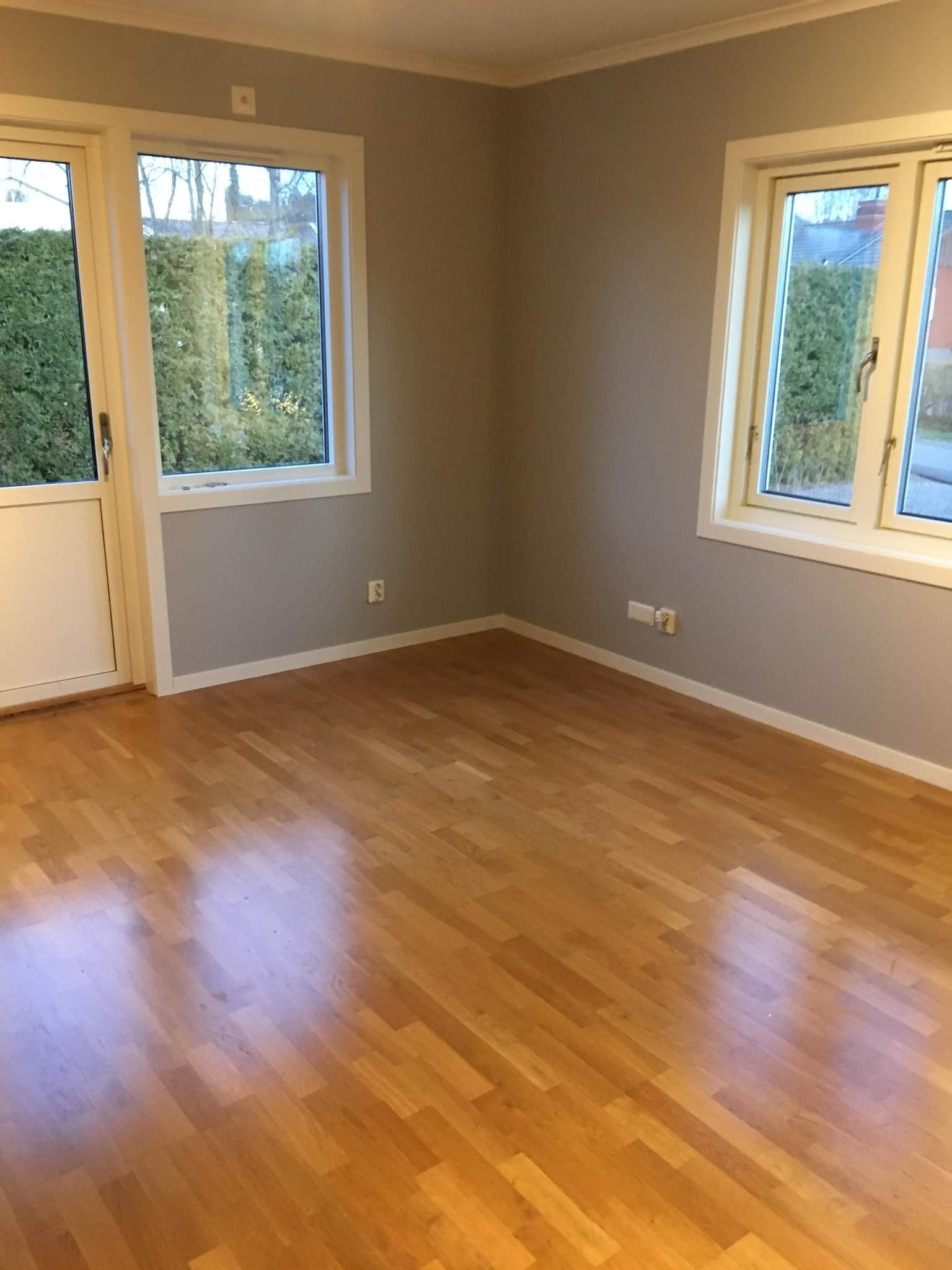 Pusty pokój z parkietem, szarymi ścianami, dwoma oknami z białymi ramami i białymi listwami przypodłogowymi, gotowy do umeblowania.