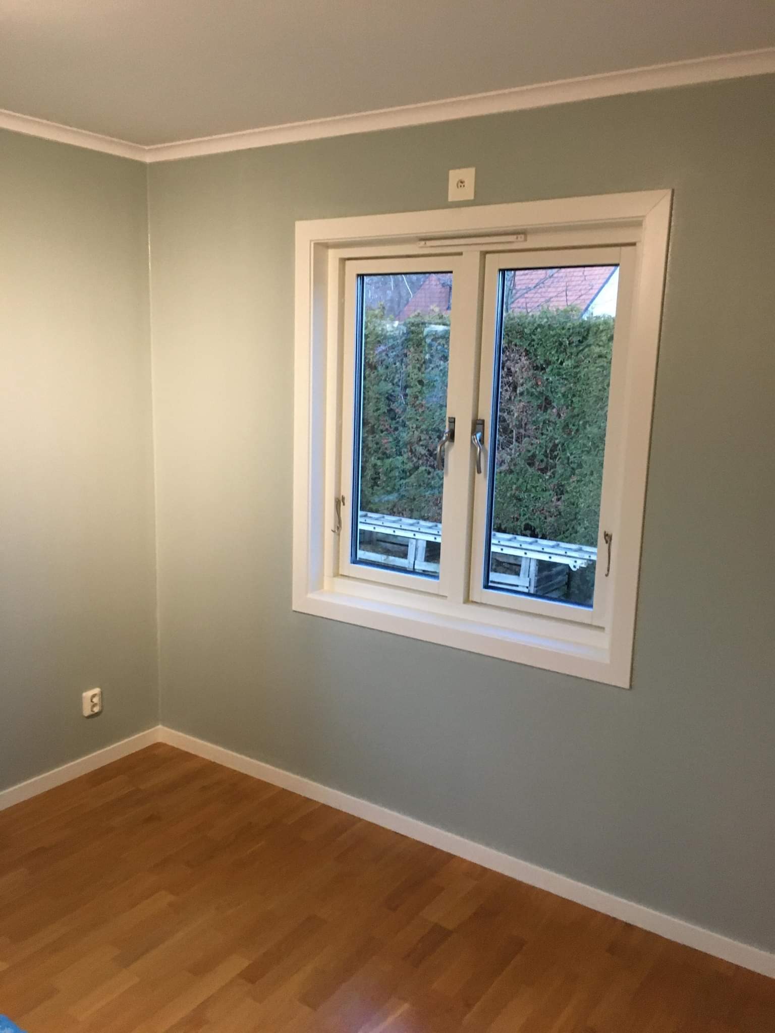 Pomalowane na jasny odcień zieleni ściany pokoju z drewnianą podłogą i białymi listwami przypodłogowymi, widoczne okno z białymi ramami, za oknem zieleń i drabina oparta o ścianę.