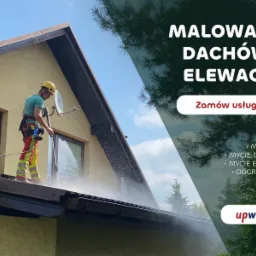 Mycie i malowanie - dachów i elewacji