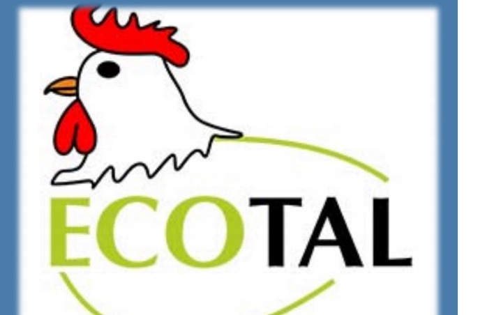 Logo firmy Ecototal z uproszczonym rysunkiem białego koguta z czerwonym grzebieniem i zielonym napisem, umieszczone w niebieskiej ramce.
