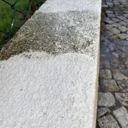 Fragment muru ogrodzeniowego z widoczną różnicą czystości po częściowym umyciu, obok kostka brukowa z kałużą.