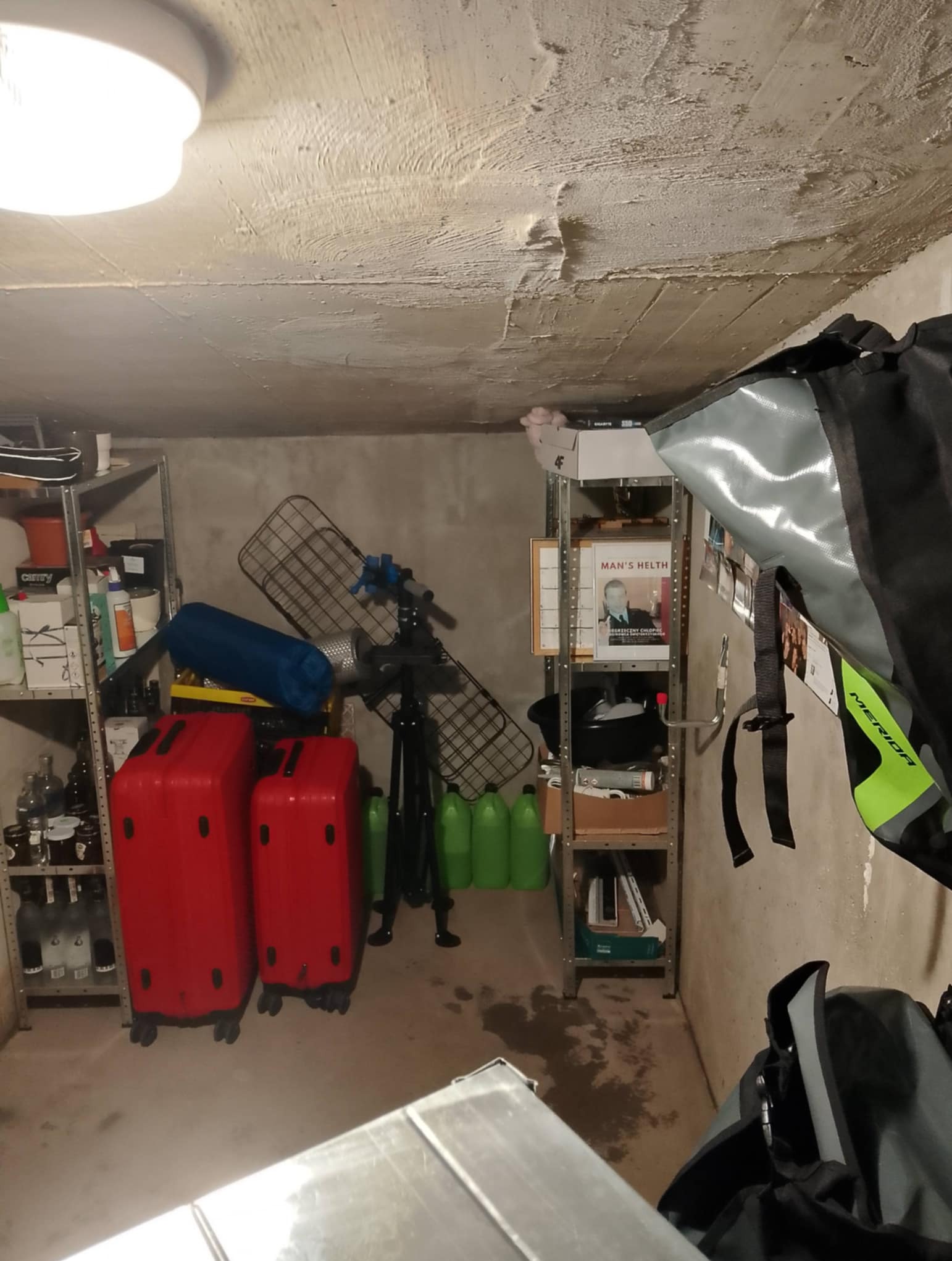 Sprzątanie piwnicy i pełna dezynfekcja