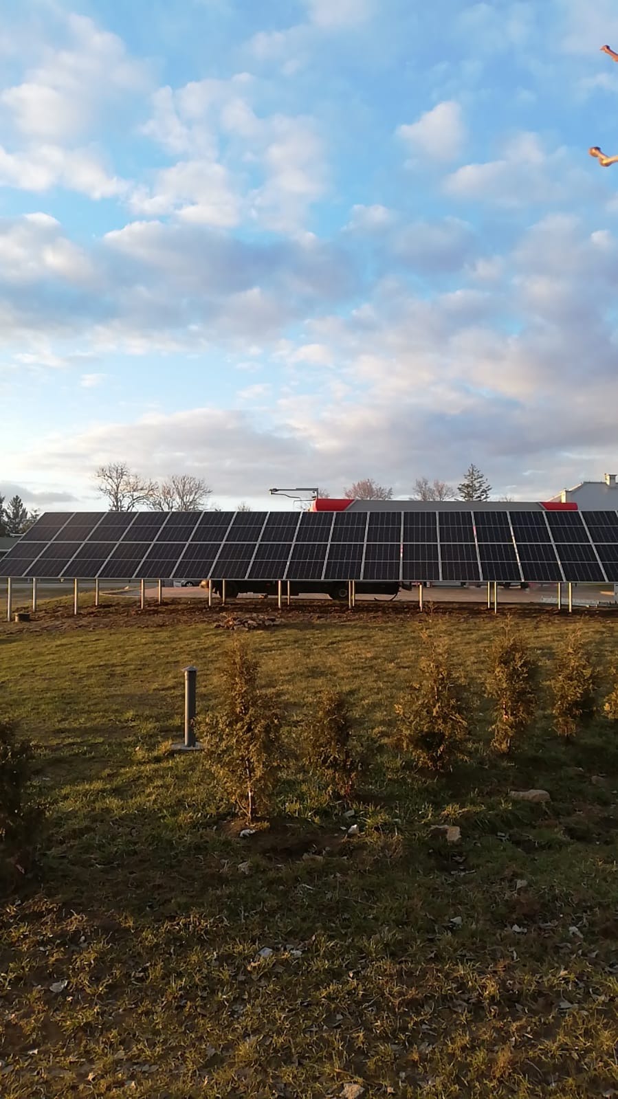 Instalacja paneli fotowoltaicznych w Sandomierzu na tle pochmurnego nieba i zielonego trawnika z młodymi drzewkami.