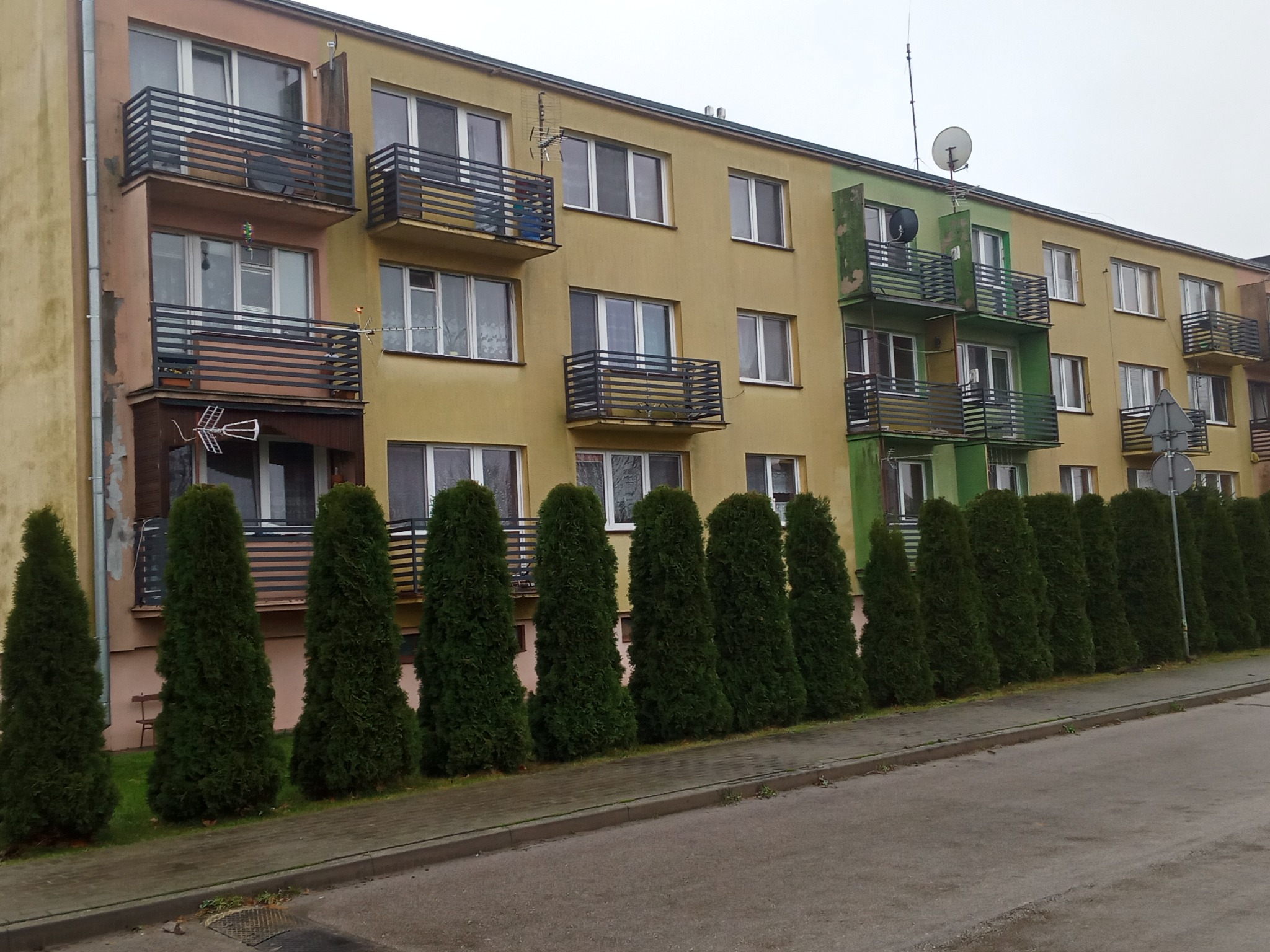 Wielopiętrowy budynek mieszkalny z balkonami zabezpieczonymi metalowymi balustradami, widok z poziomu ulicy, wzdłuż której rosną wysokie tuje.