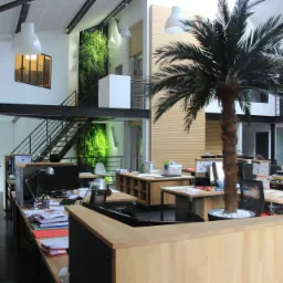 Nowoczesne biuro z zieloną ścianą, antresolą i palmami w donicach, jasne oświetlenie i drewniane biurka.