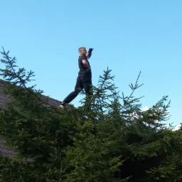 Mężczyzna w czarnym stroju stoi na dachu za zielonymi drzewami, machając ręką na tle błękitnego nieba. Nietypowy kadr z dołu.