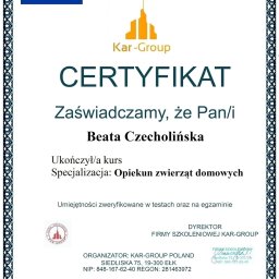 Wyprowadzanie psów Szczecin 1