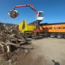 Ciężarówka z dźwigiem załadowuje korzenie drzew do żółtego kontenera. W tle sterta korzeni i maszyna do rozdrabniania.