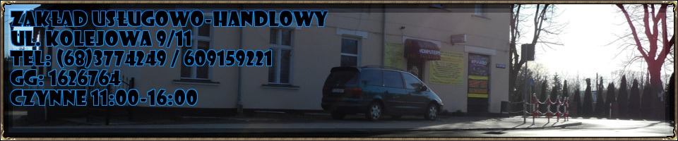 Budynek usługowo-handlowy z napisem Zakład Usługowo-Handlowy, adres i numery telefonów, zaparkowany ciemny minivan, plakaty na ścianie, drzewa w tle.