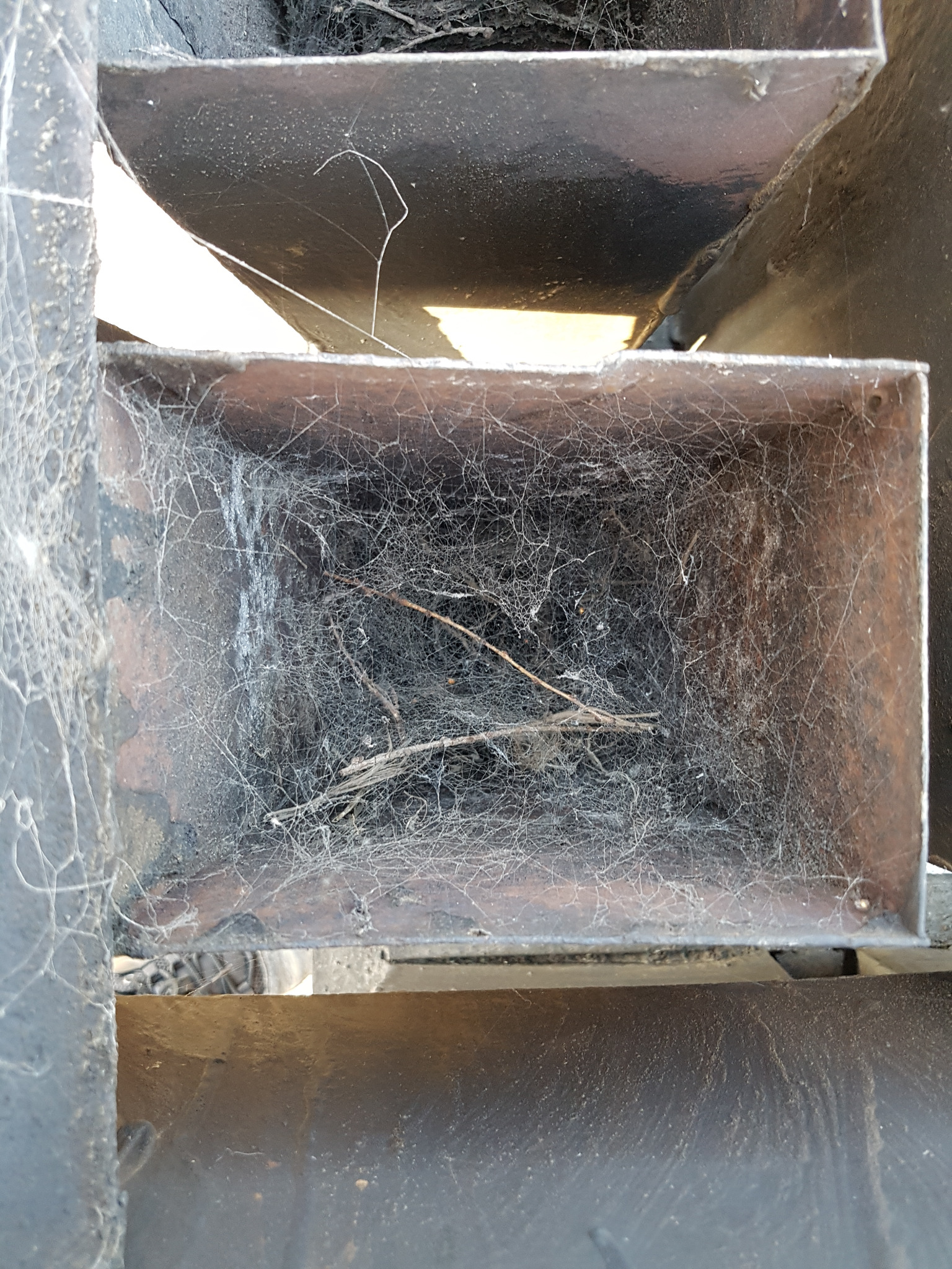 Zakamarek czarnego, metalowego komina wypełniony pajęczynami i suchymi gałązkami, widok z dołu.