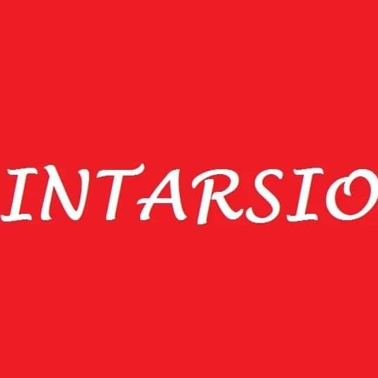 Logo firmy 'INTARSIO' na czerwonym tle.