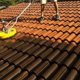 Usługi remontowo-budowlane Łukasz Lamparski - Mycie Dachówki u klienta w Toruniu