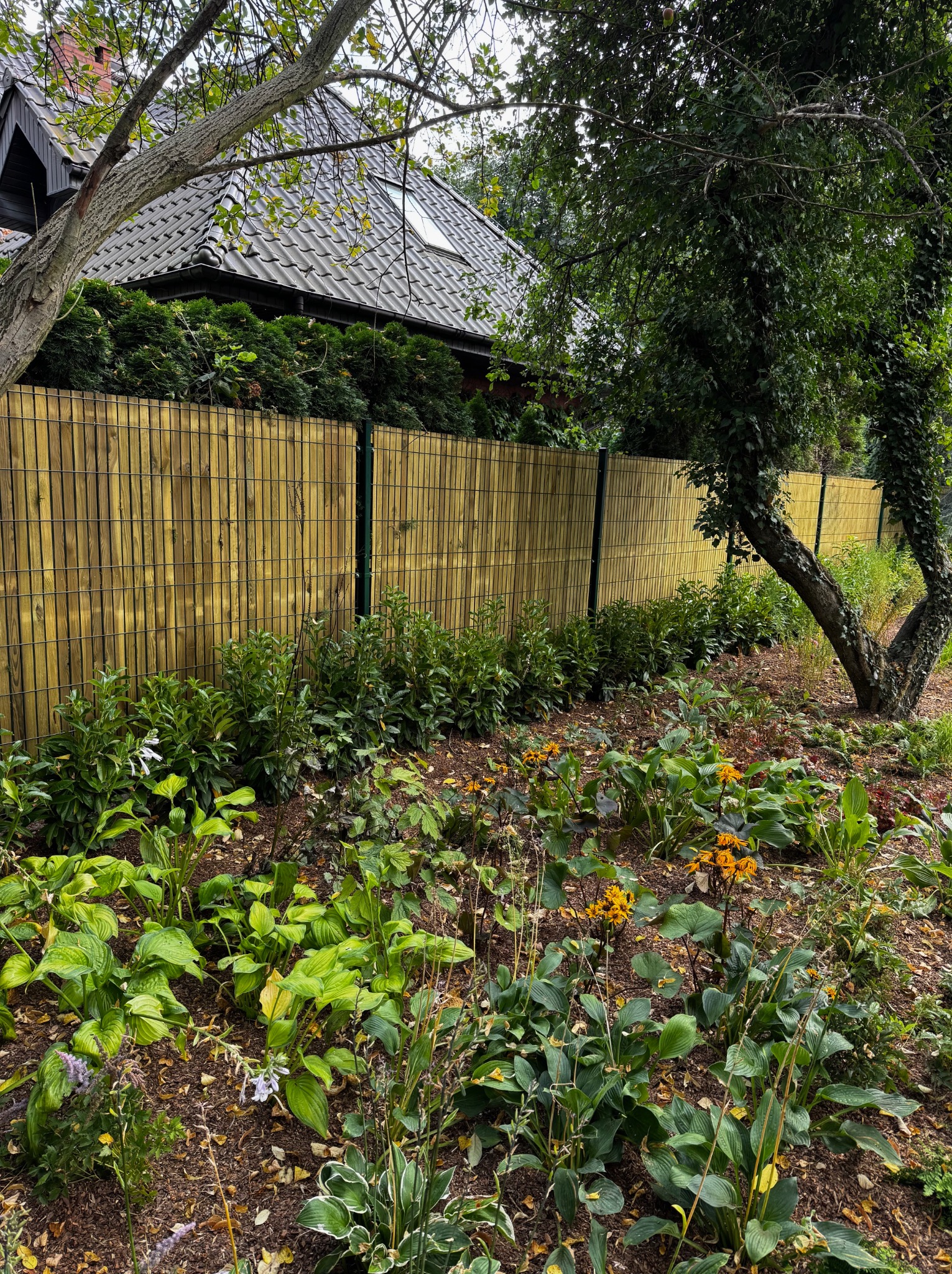 Żółte panele ogrodzeniowe z ciemnymi słupkami na tle zieleni ogrodu i domu z szarą dachówką. Ujęcie z poziomu gruntu, podkreślające wysokość ogrodzenia.