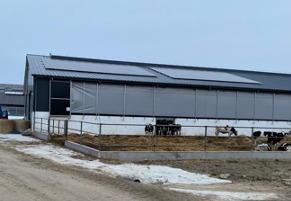 Panele słoneczne na dachu budynku gospodarczego z widocznymi zwierzętami w zagrodzie.