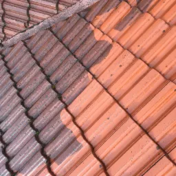 Czyszczenie dachówki