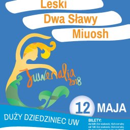 Reklama internetowa Lublin 31