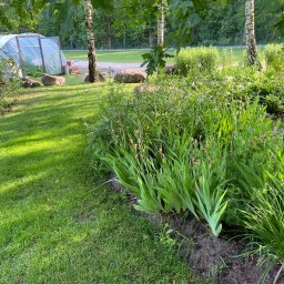 Wycinka drzew Warszawa 2