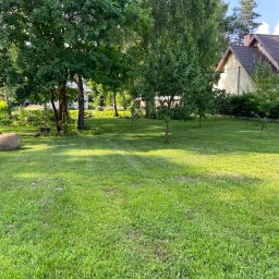 Wycinka drzew Warszawa 3