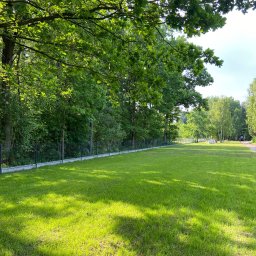 Wycinka drzew Warszawa 4