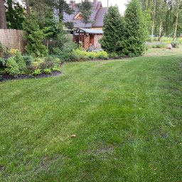 Pratcare - Rozległy, zadbany trawnik przed domem z widocznymi tujami, rabatami kwiatowymi i drewnianą wiatą na drewno przy wejściu.