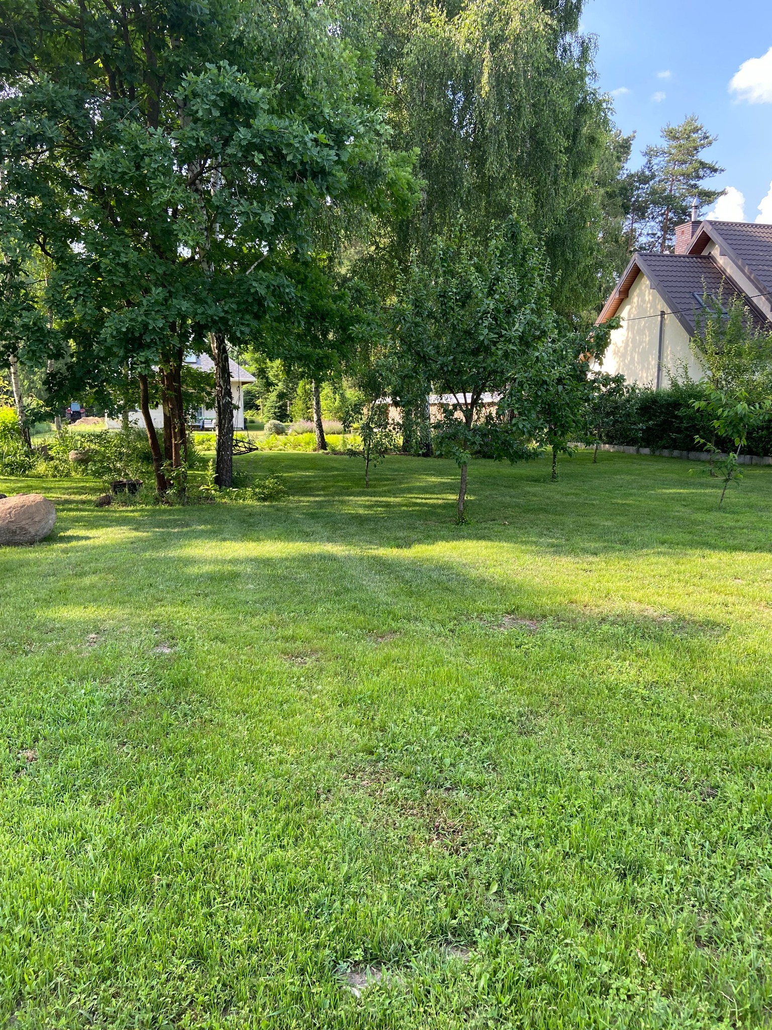 Rozległy, zielony trawnik z młodymi drzewkami owocowymi i dużymi drzewami liściastymi w tle, widoczny duży kamień i fragment domu z brązowym dachem.