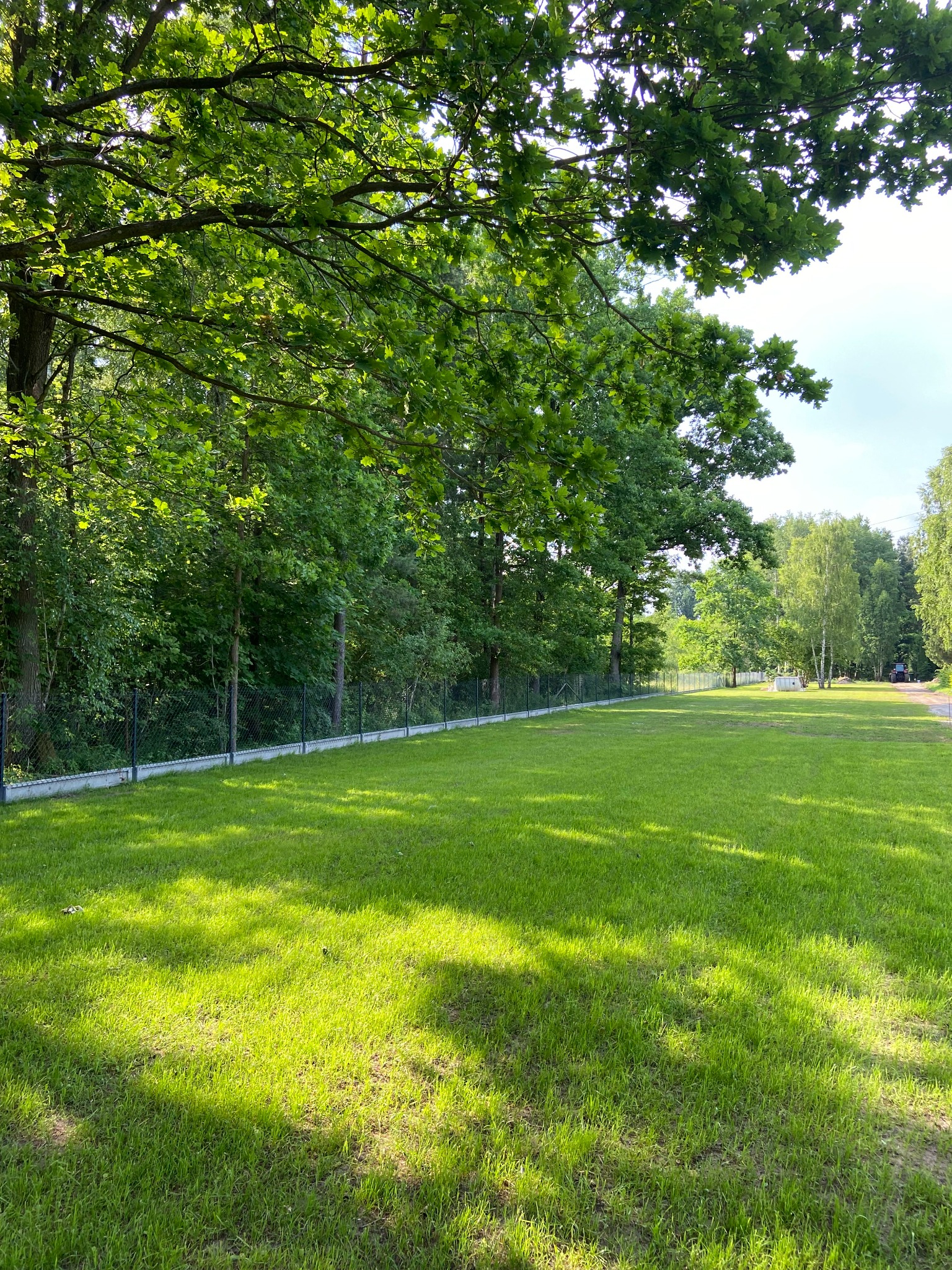 Rozległy, zielony trawnik z nowo postawionym ogrodzeniem panelowym, widok na drzewa w tle, słoneczny dzień.