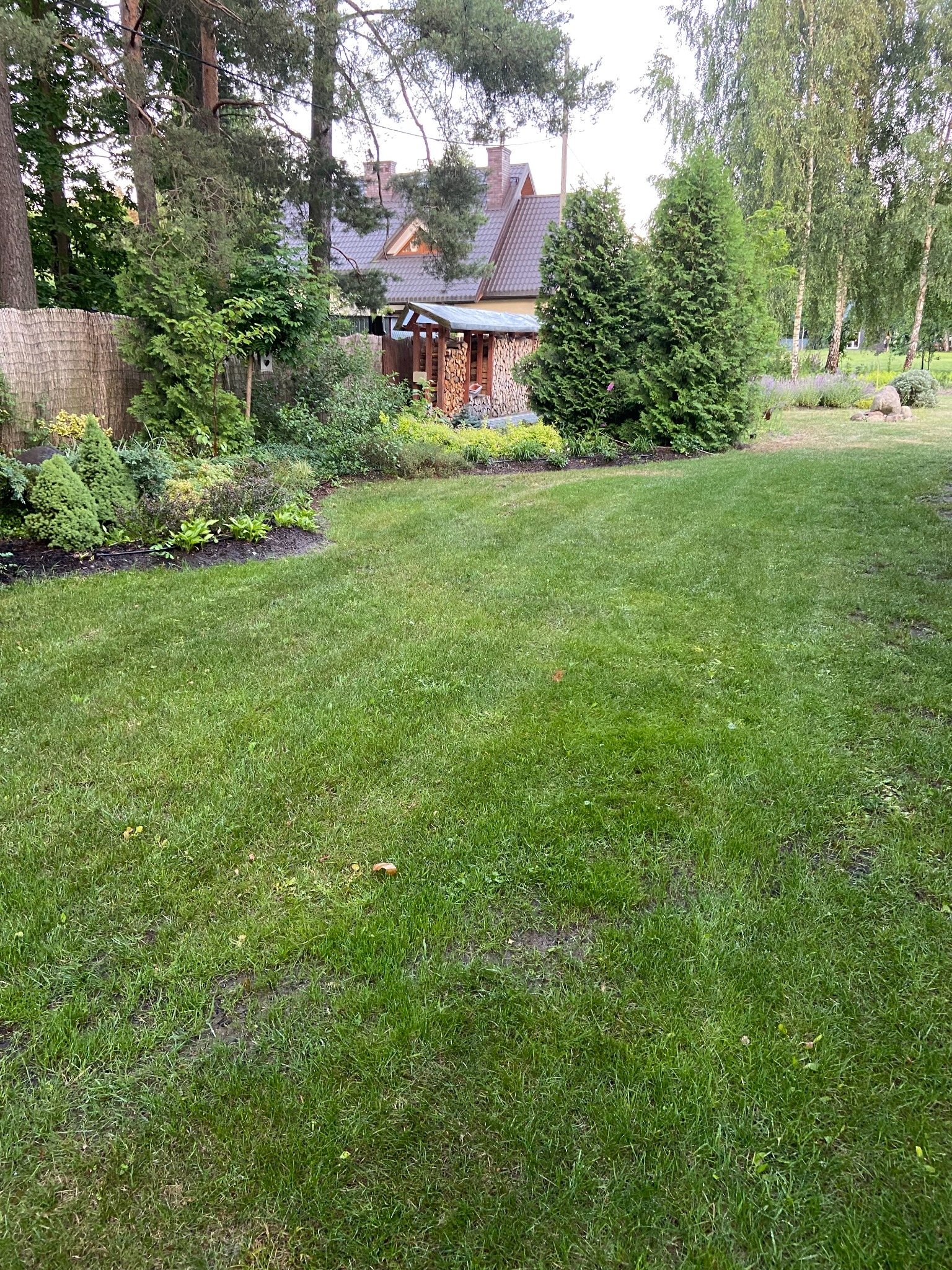 Rozległy, zadbany trawnik przed domem z widocznymi tujami, rabatami kwiatowymi i drewnianą wiatą na drewno przy wejściu.
