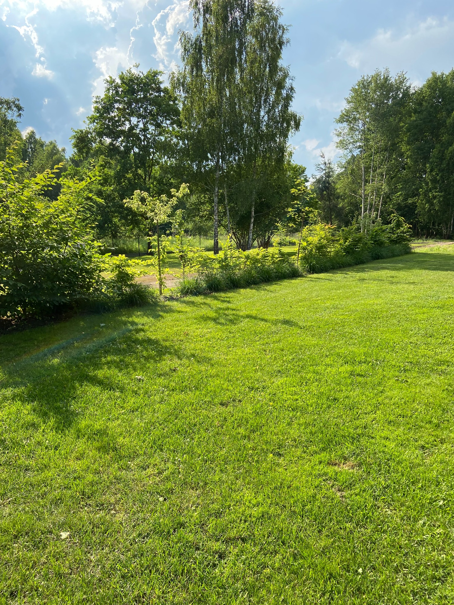 Rozległy, zielony trawnik z drzewami w tle, oświetlony słońcem, z widocznym fragmentem tęczy na trawie.