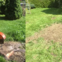 Pomarańczowa frezarka do pni w trakcie pracy, z widocznymi wiórami drewna wokół pnia i obszar po usuniętym pniu z pozostałościami zrębków na trawniku w tle.