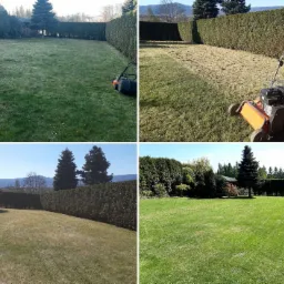 Cztery ujęcia ogrodu w Andrychowie: trawnik przed i po wertykulacji, kosiarka spalinowa na trawie, r&oacute;wno przystrzyżony żywopłot, widok na g&oacute;ry w tle.
