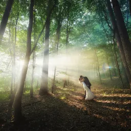 Czasami tak zagra, że nie chce się wychodzić z lasu :)