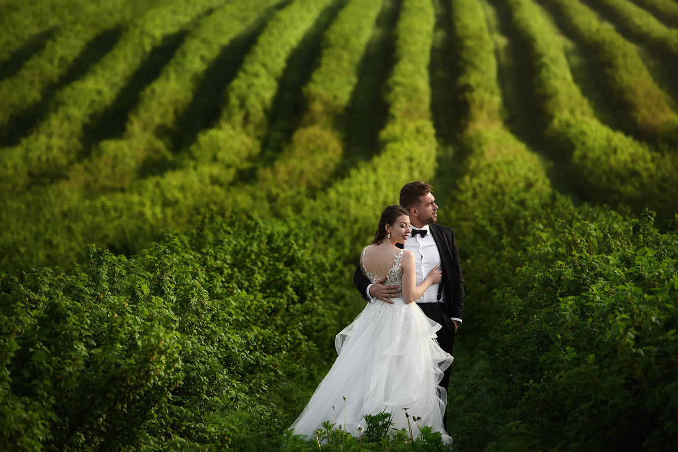 Soczyste Mazurskie winnice wiosenną porą malowane specjalnie dla Oli i Artura :)