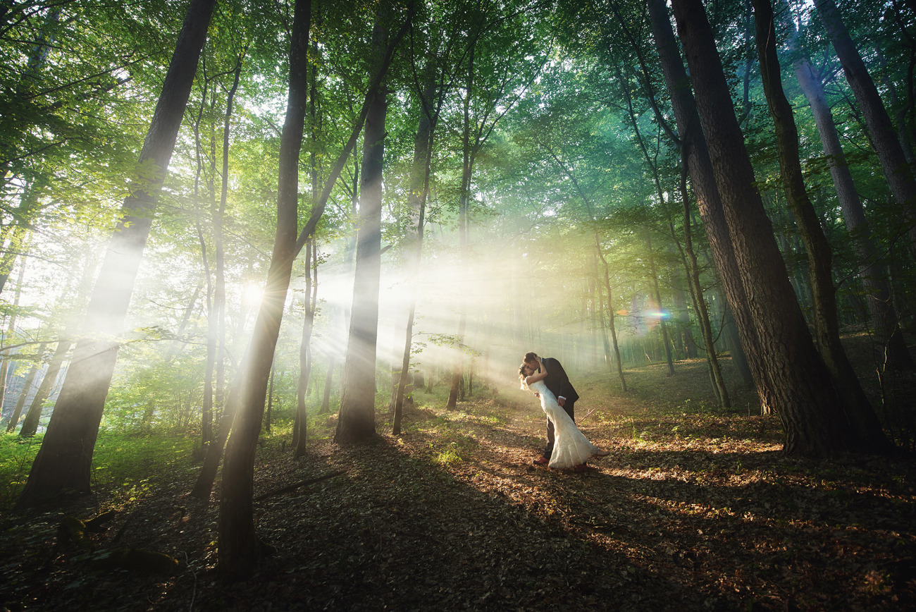 Czasami tak zagra, że nie chce się wychodzić z lasu :)