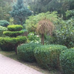 Henryk andryszkiewicz - Odśnieżanie Parkingów Radomsko