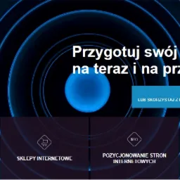 Grafika z hasłem 'Przygotuj swój biznes na teraz i na przyszłość' oraz ikonami i napisami 'Strony internetowe', 'Sklepy internetowe', 'Pozycjonowanie stron internetowych', 'Aplikacje webowe...
