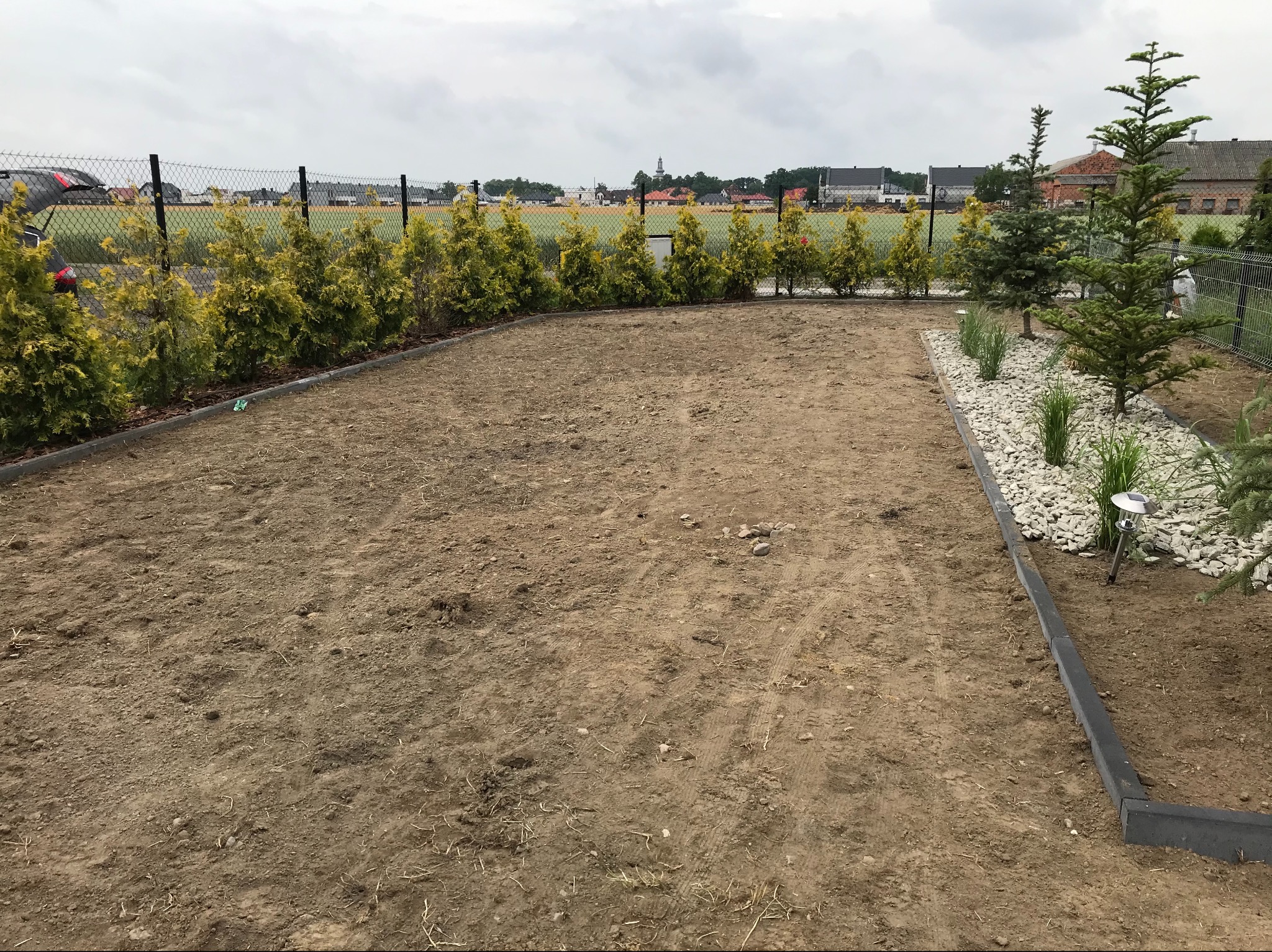 Przygotowany teren pod trawnik, obrzeża z kostki, rząd posadzonych tui wzdłuż ogrodzenia z siatki, fragment rabaty z kamykami i iglakami.