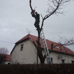 Zakład usług leśnych - Wysokiej Klasy Opieka Na Ogrodami Lubliniec