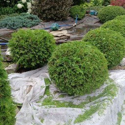 Zakład usług leśnych - Prace działkowe Częstochowa