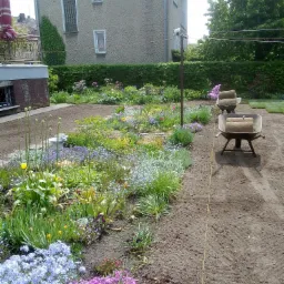 Dwie taczki wypełnione rolkami trawy na przygotowanym podłożu, w tle kwitnący ogród i dom z zielonym żywopłotem.