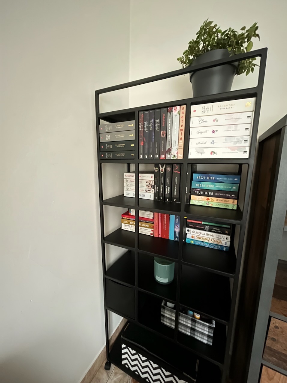 Czarny, metalowy regał na książki z licznymi półkami, wypełniony książkami, dekoracjami i rośliną doniczkową na górze. Minimalistyczny design regału.