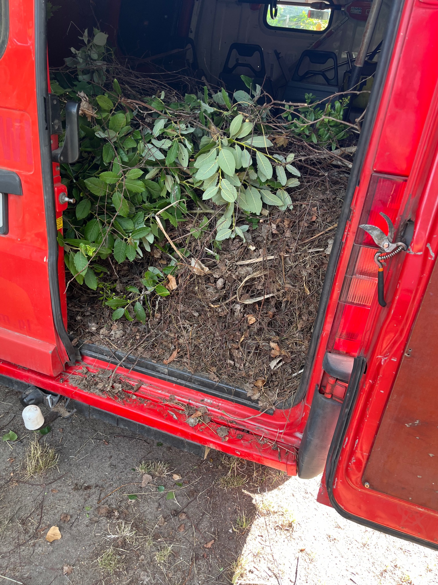 Wnętrze czerwonego samochodu dostawczego wypełnione gałęziami z liśćmi i suchymi pędami, przy otwartych drzwiach wiszą sekatory.