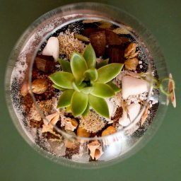 Masz babo kwiatek Izabela Kowalska - Kompozycje w szkle