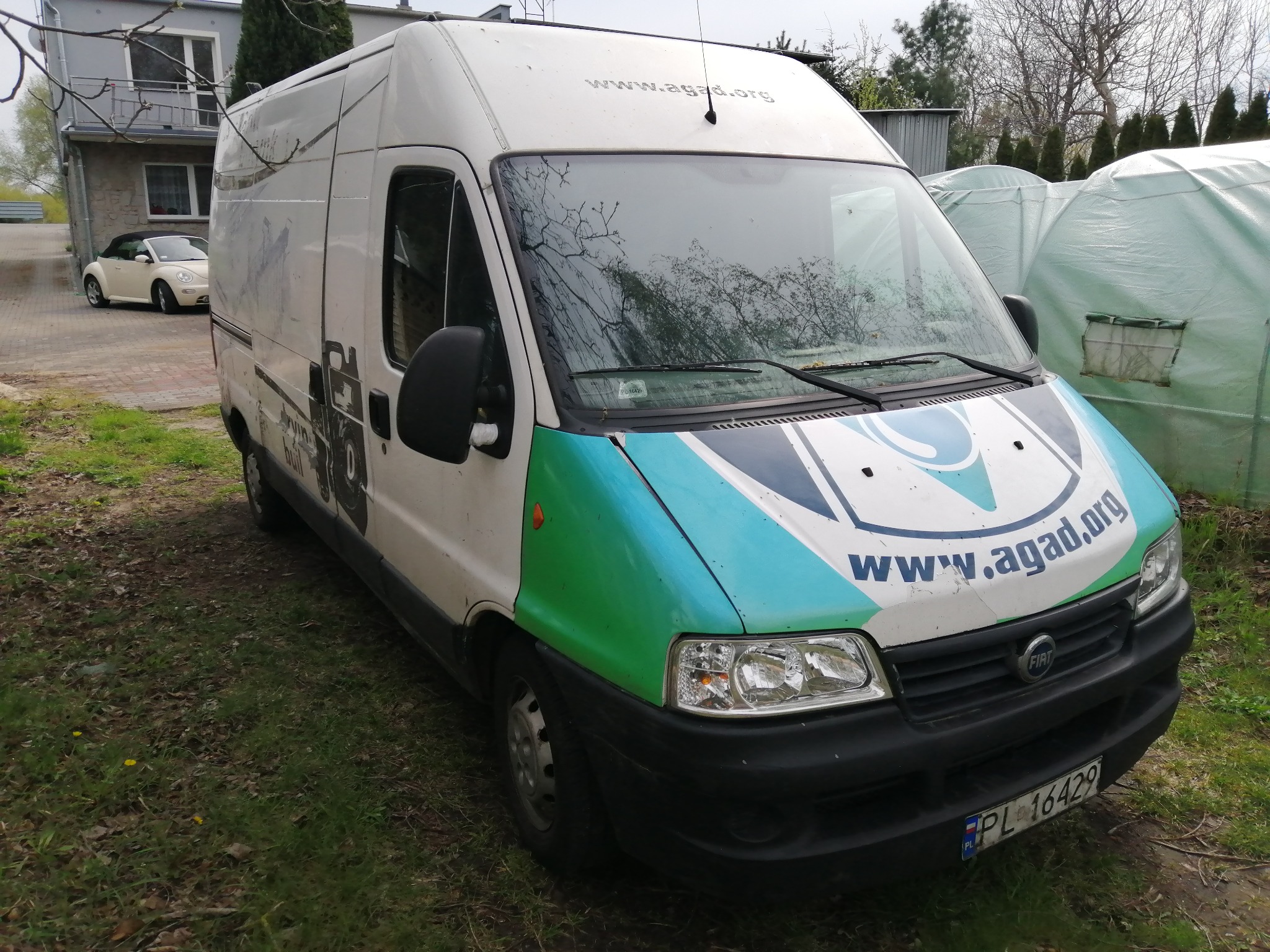 Biały bus marki Fiat z zielono-niebieskim logo firmy na tle trawy i budynków, z widoczną tablicą rejestracyjną PL 16429.