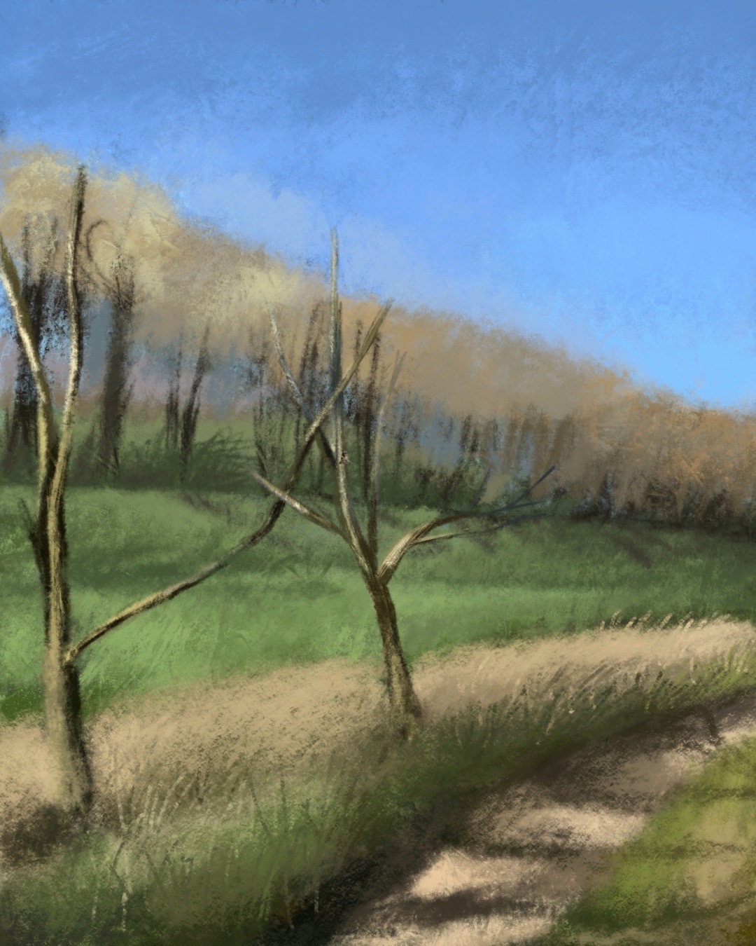 Cyfrowy pejzaż przedstawiający ścieżkę przez łąkę z drzewami bez liści na tle błękitnego nieba.