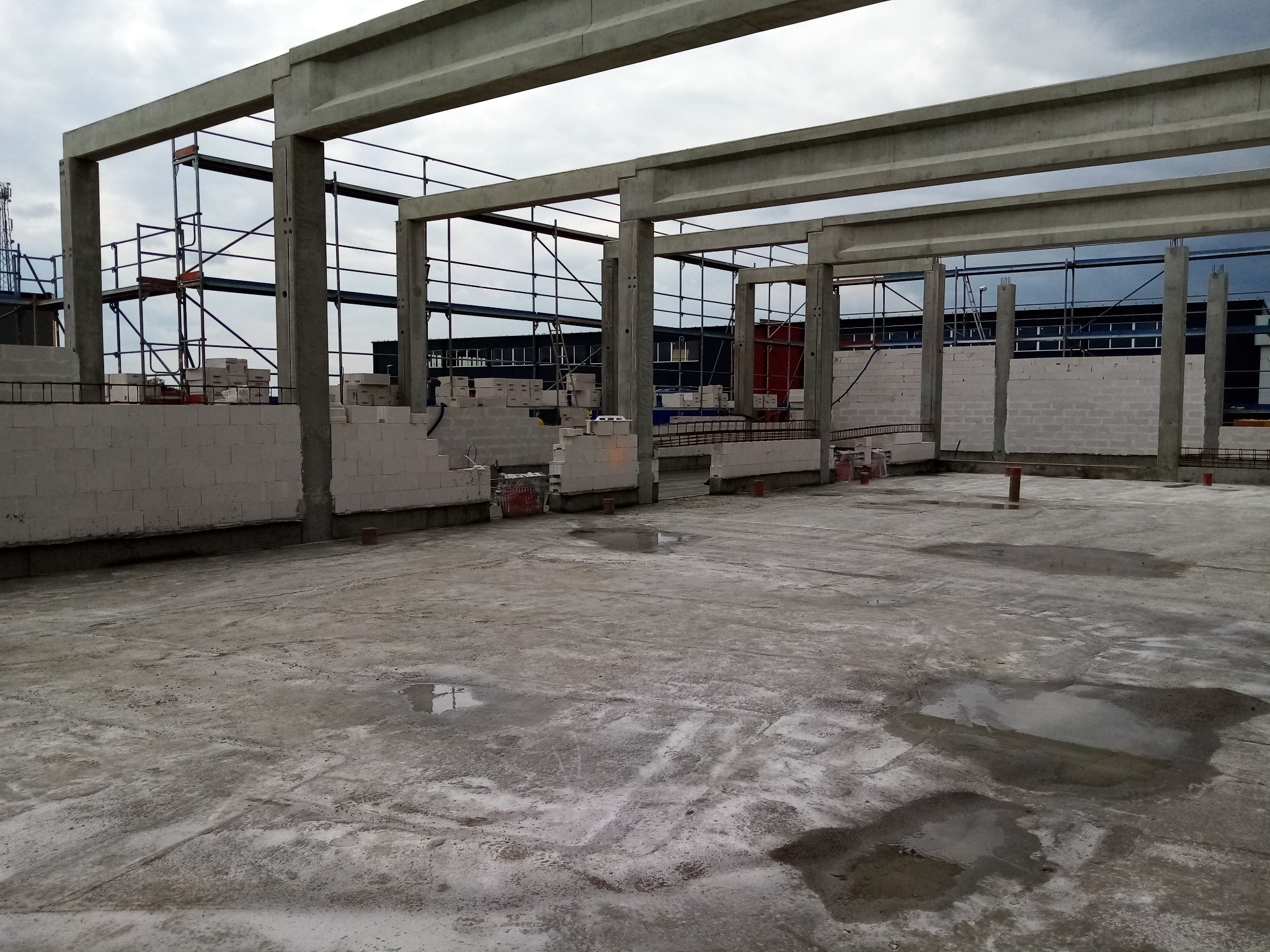 Surowa konstrukcja budynku żelbetowego w Toruniu, widoczne betonowe słupy i belki, częściowo wymurowane ściany z białych bloczków, metalowe rusztowania w tle i mokra, betonowa podłoga z kałużami.