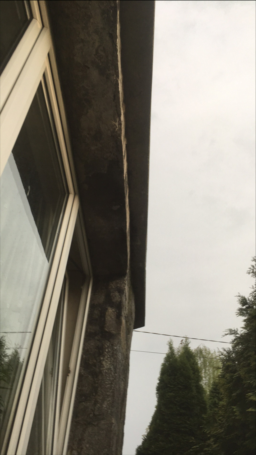 Fragment elewacji budynku z widocznymi oknami, zanieczyszczoną powierzchnią i roślinnością w tle, sfotografowany pod kątem z dołu w pochmurny dzień.