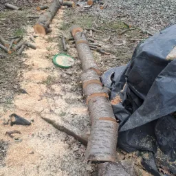 Kłoda drzewa pocięta na plastry leży na ziemi obok czarnej plandeki, w tle rozrzucone małe kawałki drewna i żwir.