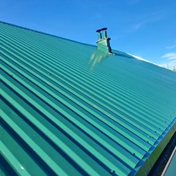 Wycinka drzew Bielsko-Biała 4