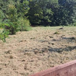 R&K Paweł Janeczko - Świeżo skoszone pole trawy z widocznymi resztkami trawy, obok drzewa i fragment drewnianego płotu w dolnej części kadru.