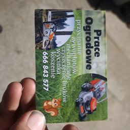 Wycinka drzew Bielsko-Biała 2